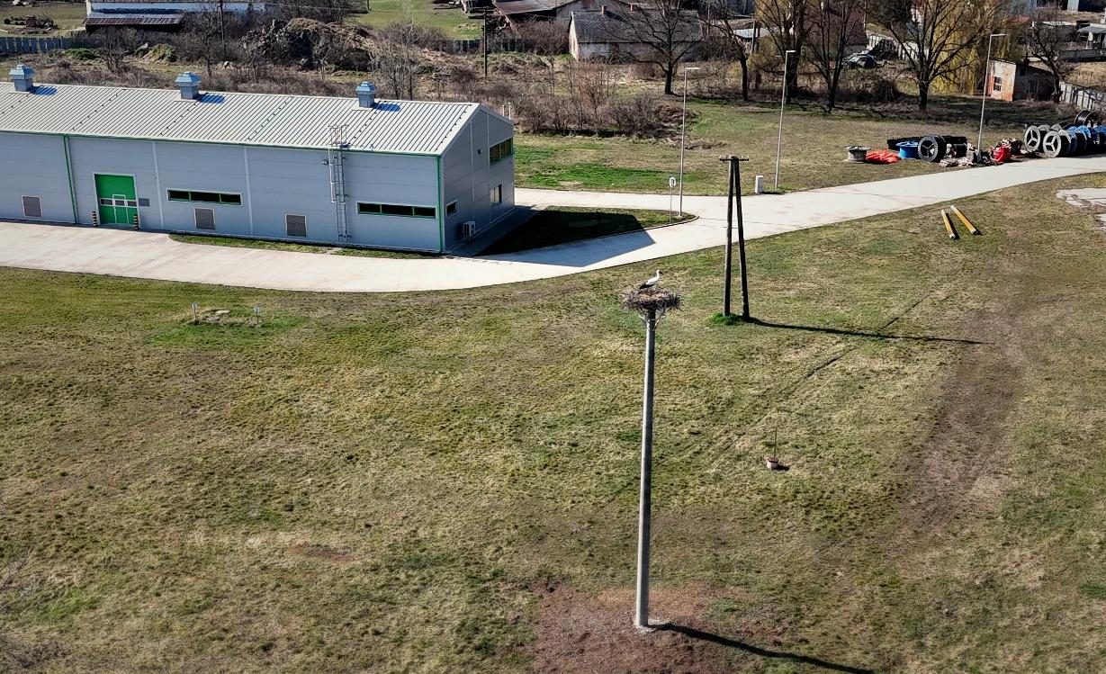 Valaliky Industrial Park, s.r.o. pokračuje v ochrane biodiverzity a starostlivosti o bocianie hniezda